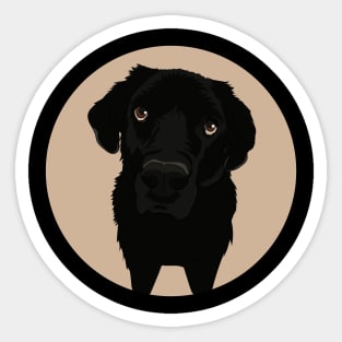 Black Labrador Retriever Dog Original Desing Yako Sticker